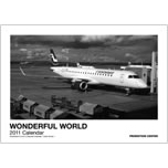 2011 WONDERFUL WORLD