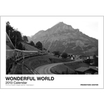 2013 WONDERFUL WORLD