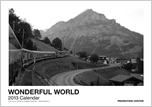 2013 WONDERFUL WORLD